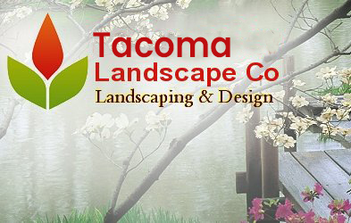 Landscaping Company Tacoma