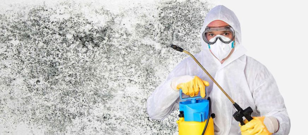 Phoenix Mold Removal - Mold Testing & Remediation