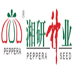 Supplier of Hot Pepper, Eggplant, Pumpkin, Cucumber, Bitter Gourd, Sponge Gourd, Yard Long Bean, Leafy Vegetable, Waxy Gourd and Other Vegetable.