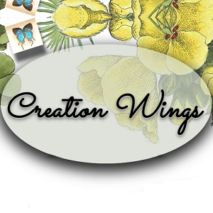 Creation Wings