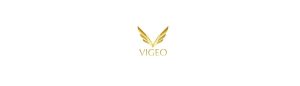 Vigeo Health & Fitness Pte Ltd
