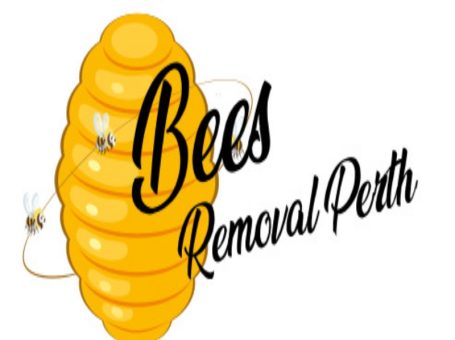 Bees Removal Perth