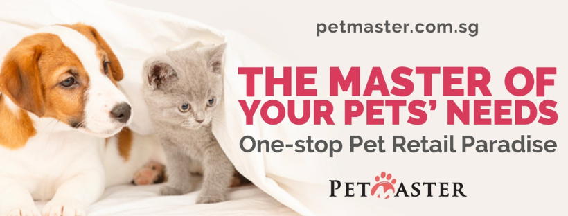 Pet Master