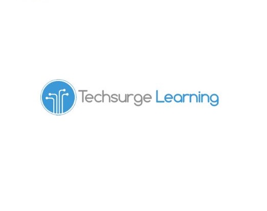 Techsurge Learning