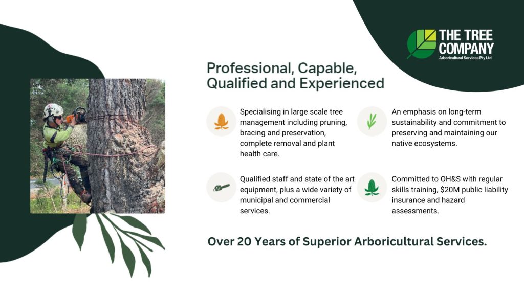 The Tree Company Arboricultural Services Pty Ltd