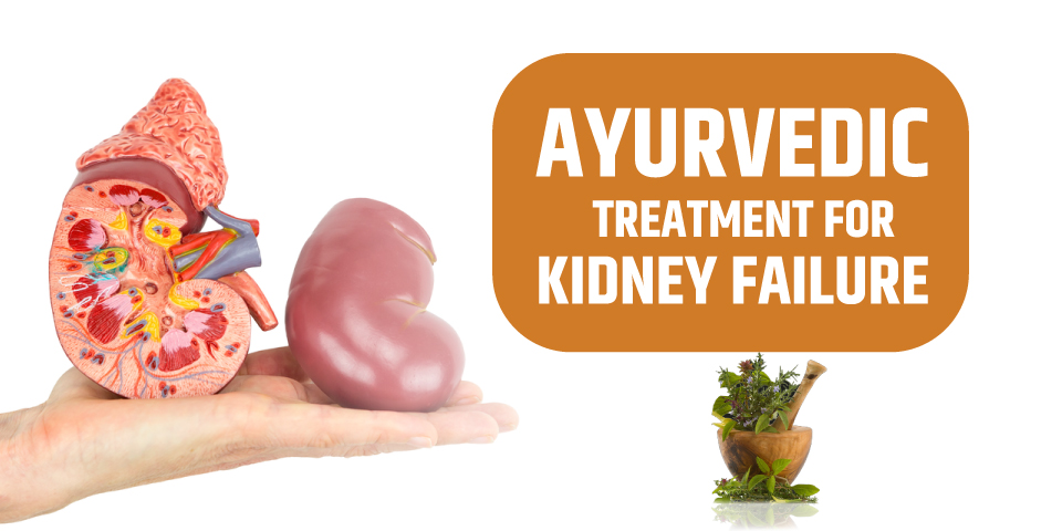 Treatment For Kidney Disease – Karma Ayurveda