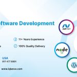 iQlance Solutions - Software Development Company Texas