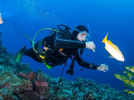 Petro Divers: Discover the Depths in Mallorca with Premier Diving and Snorkeling