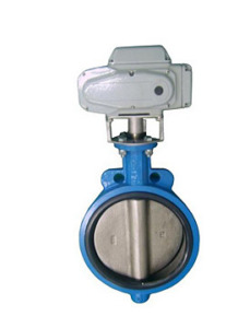 Electric Actuated Butterfly valve supplier in Mexico