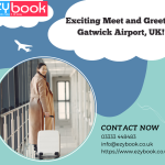 Meet and Greet at Gatwick