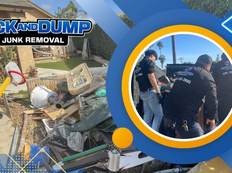 Pick and Dump Junk Removal